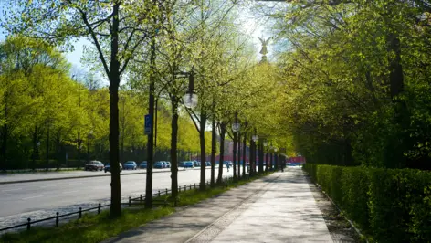 Tiergarten - City break to Berlin with H-Hotels.com - Official website