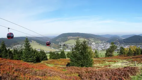 Landschaft mit Bäumen und Bergen um Willingen. Auf der linken Seite fährt die Seilbahn.