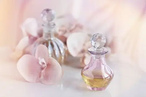 Fragrance museum - H+ Hotel Köln Hürth - Official website