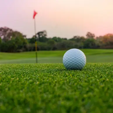 Detailaufnahme von einem Golfball auf einer Golfstrecke. Im Hintergrund steht verschwommen eine Fahne.