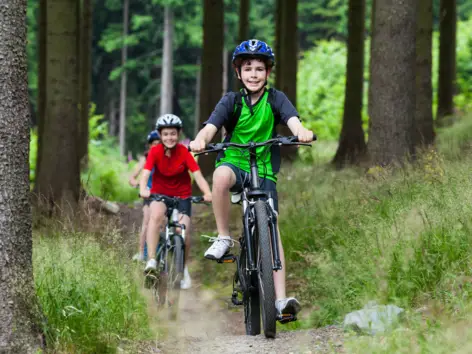 Drei Kinder fahren auf Fahrrädern durch einen Wald.