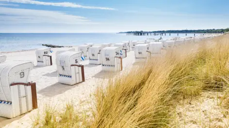 Beach - H+ Hotel Ferienpark Usedom