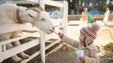 Zoo Mönchengladbach - H4 Hotel Mönchengladbach im BORUSSIA-PARK - Official website