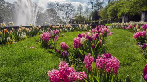 Jardín Botánico de Colonia - H+ Hotel Köln Brühl