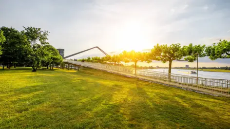 Rheinpark Golzheim am Rhein während des Sonnenaufgangs. Im Hintergrund steht eine große Brücke.