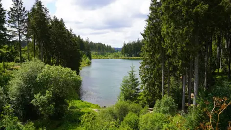 See in Mitten von einem Nadelwald.