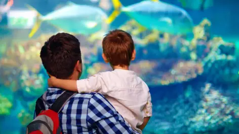 Ein Mann und ein Junge schauen sich große Fische in einem Aquarium an.