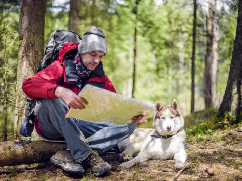 Walking with your dog - H-Hotels - Official website