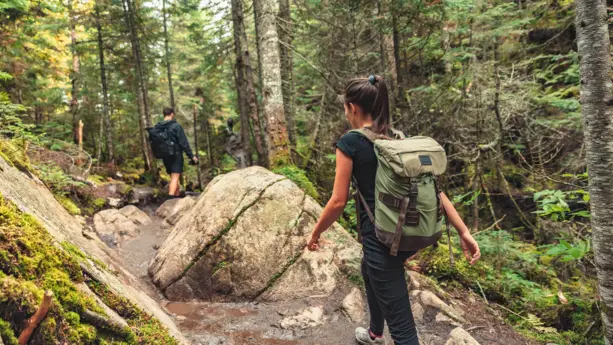 Parc naturel Rhin-Taunus: le paradis des randonneurs - H+ Hotel Wiesbaden Niedernhausen