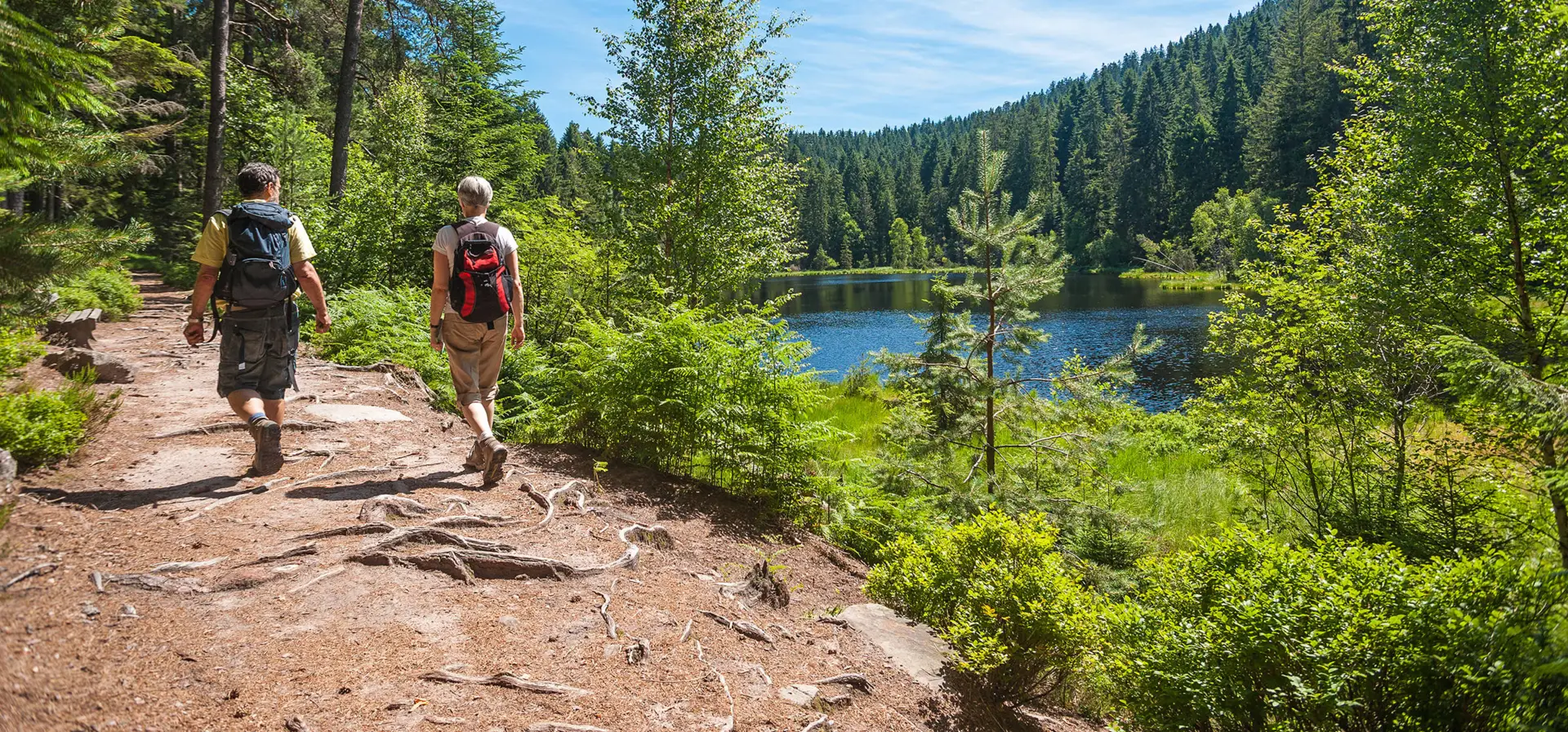 Urlaub im Schwarzwald - H-Hotels.com - Offizielle Webseite