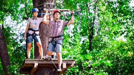 Climbing forest - H+ Hotel Wiesbaden Niedernhausen - Official website