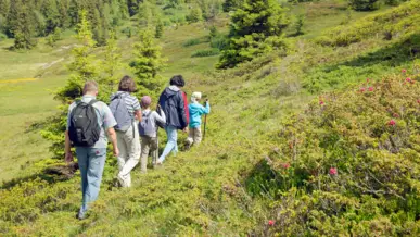 Wandern im Schwarzwald mit der ganzen Familie - H-Hotels.com - Offizielle Webseite