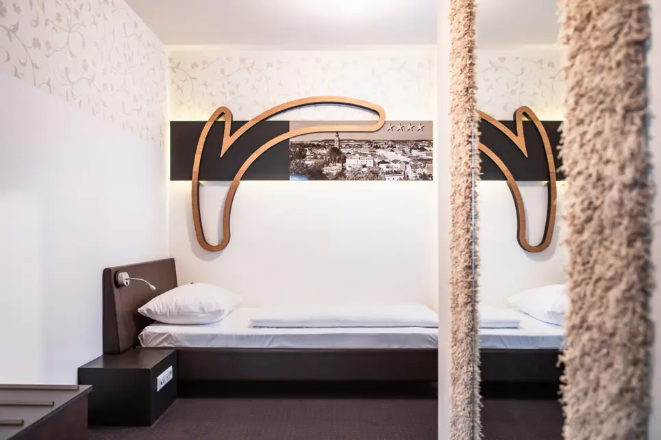 Single room at the Hotel Ried - Official website