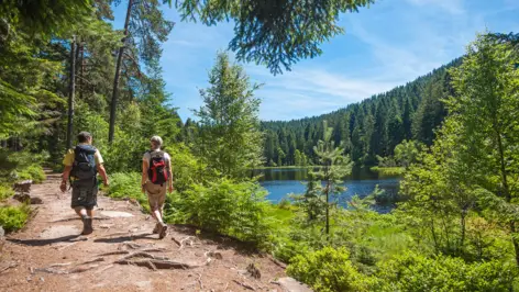 Wandern im Aigner Park | H-Hotels.com