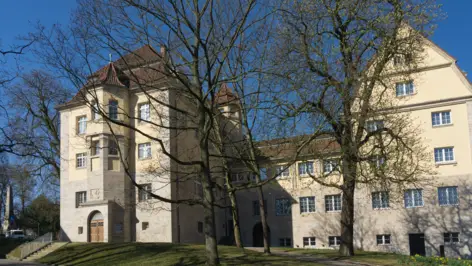 Musée régional de Hesse derrière un grand arbre.