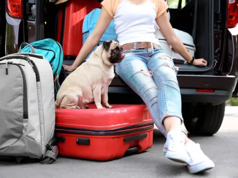 Traveling with a dog | H-Hotels.com