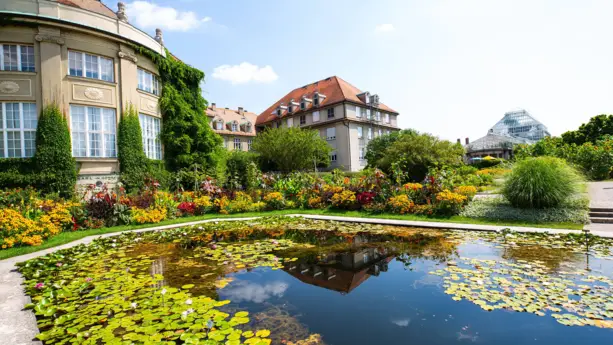 Teich im Botanischen Garten. Im Hintergrund ist das große Gewächshaus zu sehen.