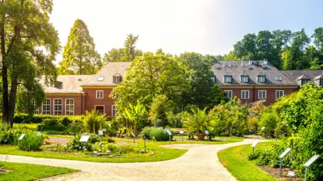 Botanischer Garten in Münster | H-Hotels.com