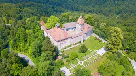 Schloss Kyburg von oben. Die Burg ist umgeben von Wald.