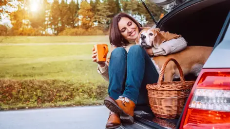 Travel with your dog - H-Hotels - Official website