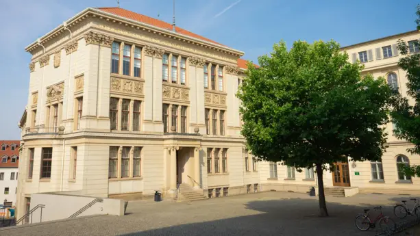 Blick auf die Martin-Luther-Universität. Vor dem Gebäude steht ein Baum.