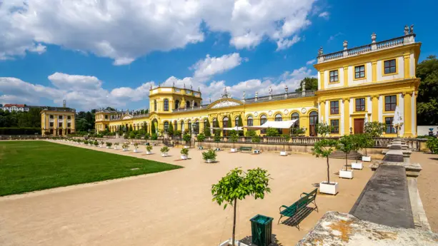 Parc devant l'orangerie avec de nombreux petits arbres et arbustes le jour.