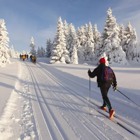 Skilanglauf im Harz - H-Hotels.com - Offizielle Webseite