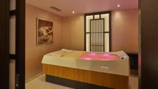 Salle de bien-être avec un jacuzzi.