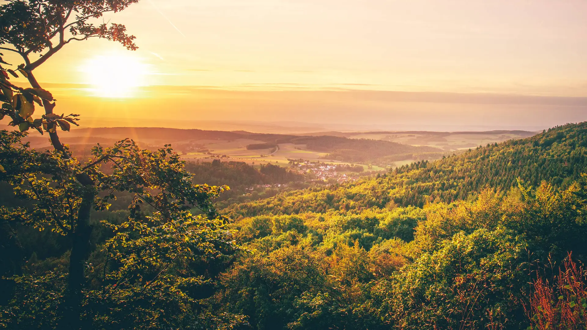 Paesaggio del Taunus - H+ Hotel Frankfurt Eschborn