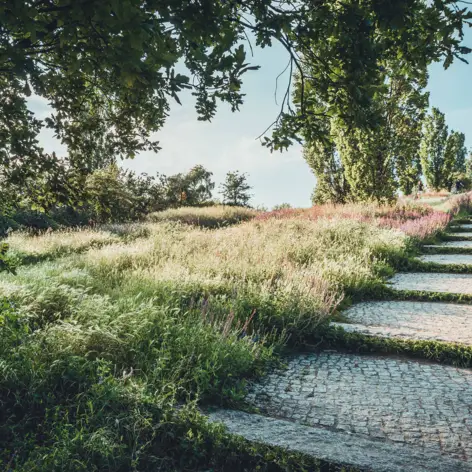 Grünflächen am Mauerpark | H-Hotels.com