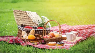 Picknick - City break to Dresden with H-Hotels.com - Official website