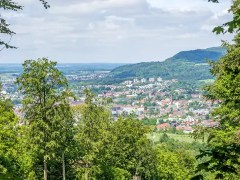 Blick über Aalen durch Bäume.