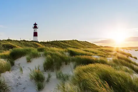 Hundestrände an der Ostsee oder Nordsee - H-Hotels.com - Offizielle Webseite