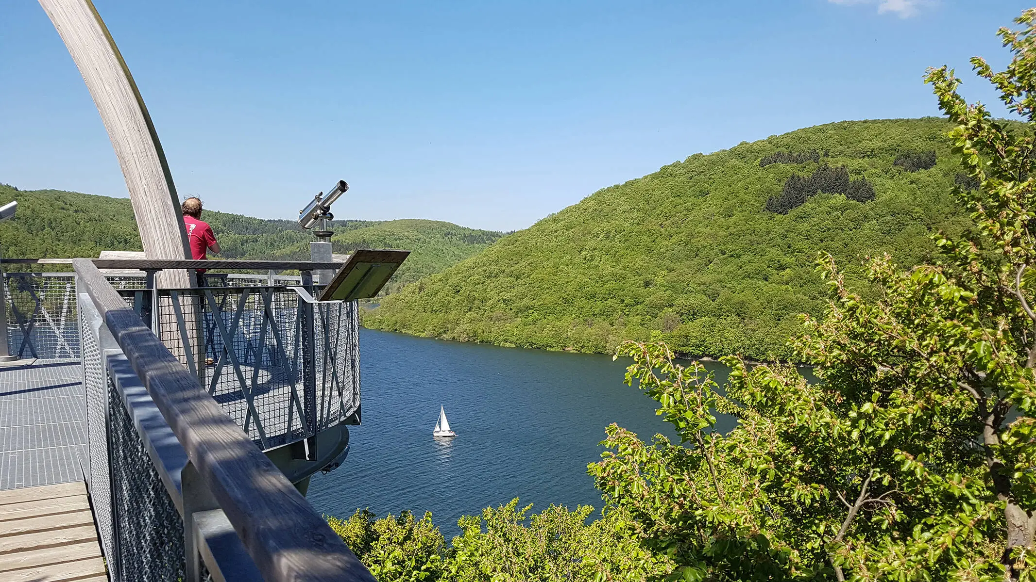 View of the lake from the TreeTopWalk