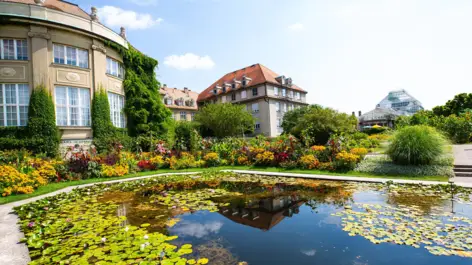 Botanischer Garten - Städtereise nach München mit H-Hotels.com - Offizielle Webseite