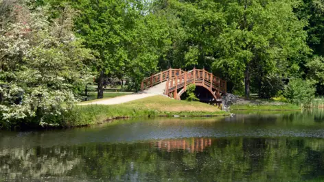 Holzbrücke in über einem Teich im Johannapark inLeipzig. 