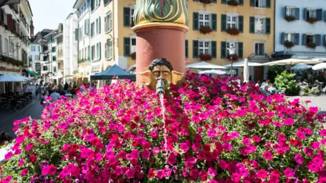 Fuente en el casco antiguo de Solothurn - H4 Hotel Solothurn